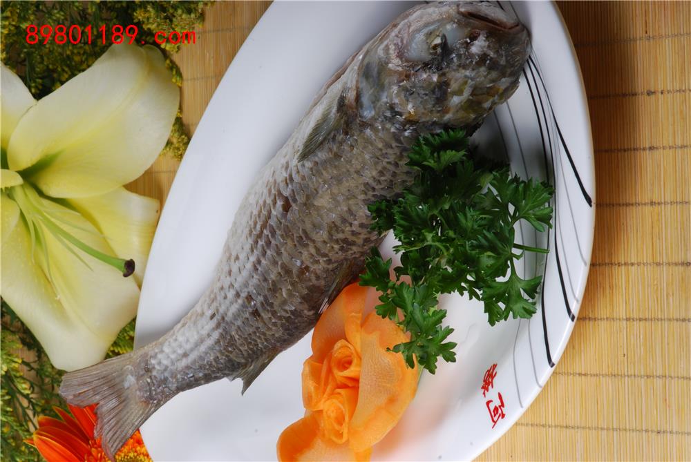 冻乌头鱼